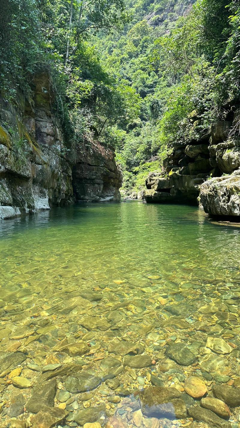自由行：解锁旅途无限可能